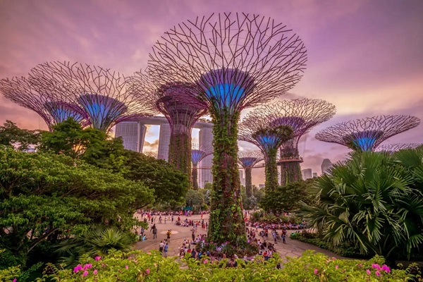 Vườn Siêu cây trong Gardens by the Bay 