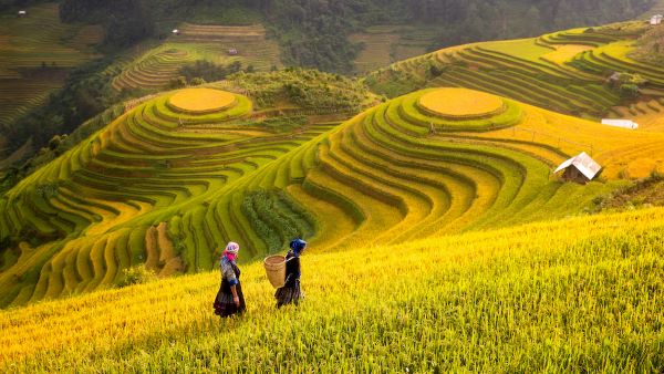 Di chuyển đến Sapa