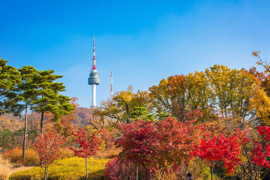 Du lịch Lễ 2/9 – Du lịch Hàn Quốc Seoul – Everland – Đảo Nami – Tháp Namsan từ Sài Gòn