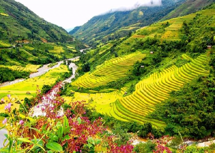 Du lịch Hè – Tour Hà Giang – Quản Bạ – Đồng Văn – Lũng Cú – Sông Nho Quế từ Sài Gòn